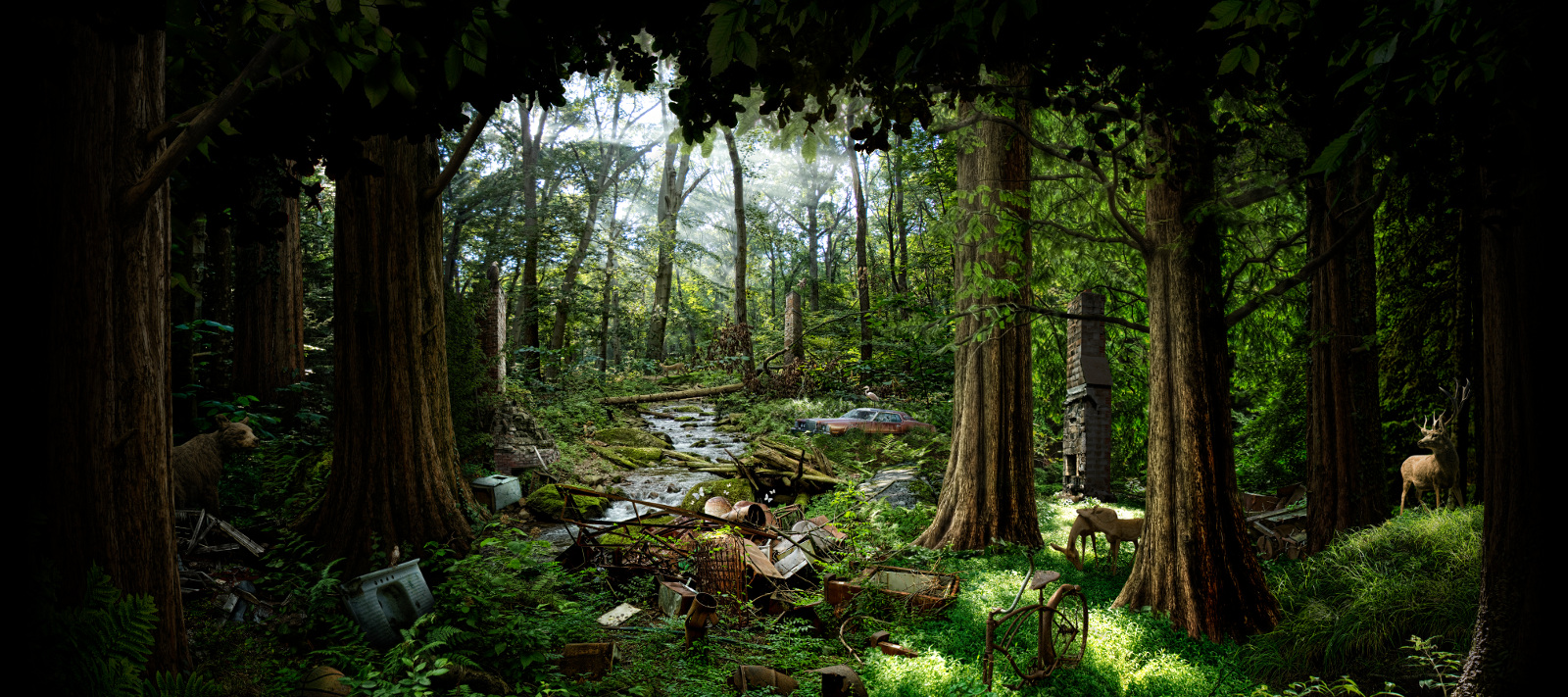 The Suburban Forest, by Nick Pedersen